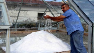 Erzincanın dağlarından sofralara