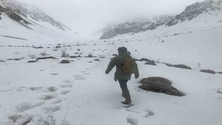 Erzincanın yüksek kesimlerine kar yağdı