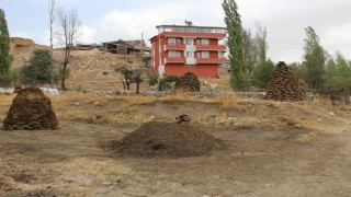 Erzincanlı köylüler kışa hazır: Yakacaklar tezekten