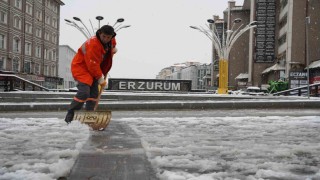 Erzurum güne kar ile uyandı