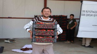 Eskiden barbunya üretim merkezi olan Ovacık yaylaları çileğe döndü