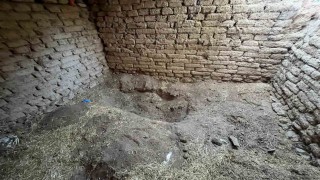 Eskişehirde 14 yıl sonra ahırdan çıkarılan cesedin gömüldüğü yer görüntülendi