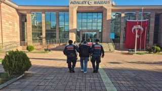 Ev eşyası taşır gibi uyuşturucu taşıdılar: On binlerce hap ele geçirildi