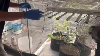 Evine kurduğu özel sistemle uyuşturucu üretirken yakalandı