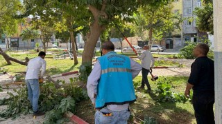 Eyyübiyedeki parklarda bakım ve yenileme çalışması