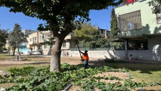 Eyyübiyedeki parklarda sonbahar bakımı