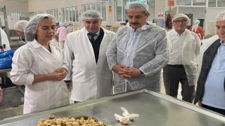 Faruk Çelikten Kardelen Kestane Şekerine ziyaret