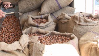 Fındıkta üreticinin 400 lira hedefi başka bahara kaldı