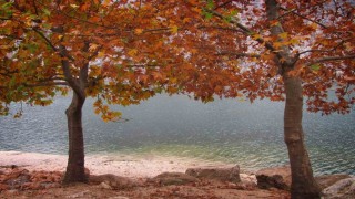 Fıratın sessiz akışına sonbahar renk kattı