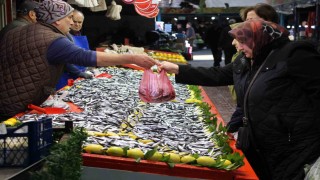 Fiyatı düşen hamsiye talep arttı: Son 10 yıldır böyle güzel hamsi gelmedi