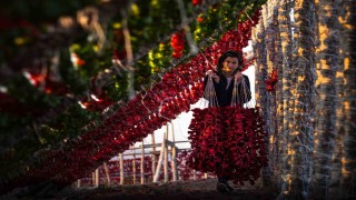 Gaziantep sebze kurutmalıkları küresel lezzet haline geldi