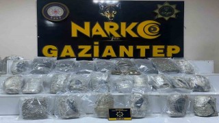 Gaziantepte 13 kilo skunk ele geçirildi