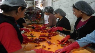 Gaziantepte kadınların acı mesaisi