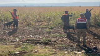 Gaziantepte tarım arazilerine zarar veren yaban domuzları için sürek avı yapıldı