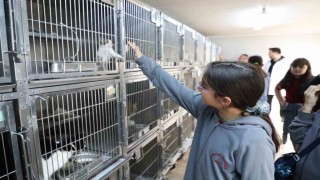 Gaziosmanpaşada Dünya Hayvanları Koruma Gününe özel etkinlik