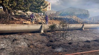 Gazipaşada zirai alanda yangın büyümeden söndürüldü