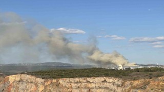 Gebzede fabrika bahçesinde korkutan yangın