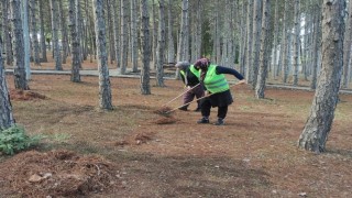 Gedizin parkları yenileniyor