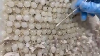 Gelinliğin üzerine boncuk şeklinde işlenmiş 25 kilo uyuşturucu ele geçirildi