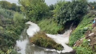 Gemlik Körfezinde kirlilik endişeye yolaçıyor