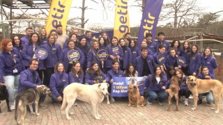 Getirden hayvan barınaklarına 1 milyon kap mama desteği