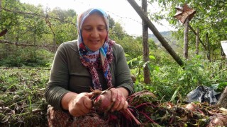 Giresunda kadınlar geleneksel yöntemlerle kışlık yiyeceklerini hazırlıyor