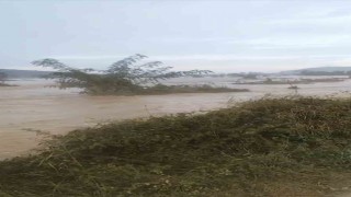 Göçkeadada sel; tarım arazileri sular altında kaldı