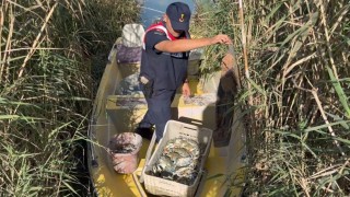 Göksu Deltasında mavi yengeç avcıları yakalandı