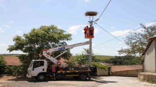 Gökyüzünün misafirleri için mesai başladı