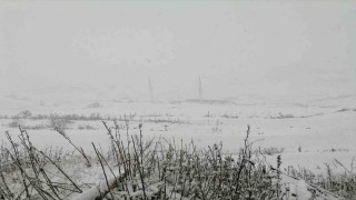 Gümüşhanenin yüksek kesimleri kara teslim oldu