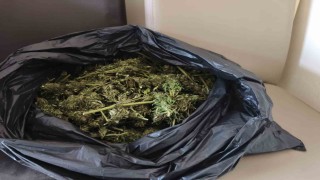 Güvercin kümesinde uyuşturucu ele geçirildi