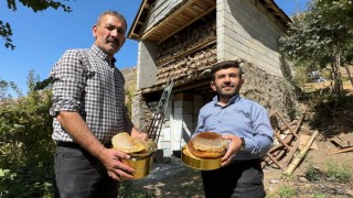 Hakkari dağlarında bal hasadı başladı