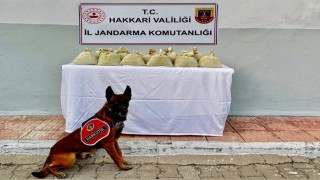 Hakkaride 15 kilogram esrar ele geçirildi