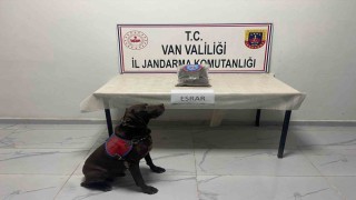 Hakkaride kubar esrar ele geçirildi