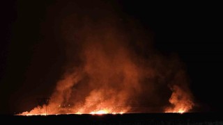 Hakkaride kuş cenneti Nehil Sazlığındaki yangın köyleri tehdit ediyor