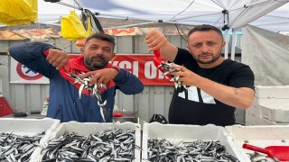 Hamsinin fiyatı 70 liraya indi, tezgahlar şenlendi