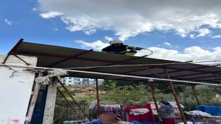 Hatayda eve giren 2 yılanı itfaiye yakaladı