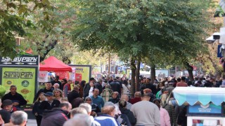 Havanın sıcak oluşunu fırsat bilenler kendini dışarıya attı