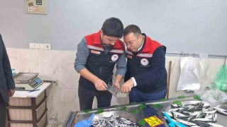Hayraboluda balık satış yerleri denetlendi