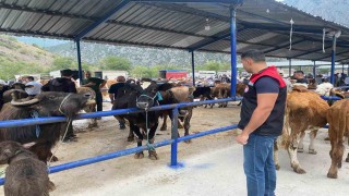 Hayvan pazarı şap hastalığı nedeniyle kapatıldı