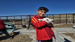 Hayvanları Koruma Gününde Evcil Köyde patili dostlarla buluştular