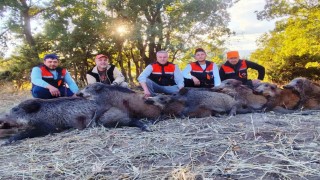 Hisarcıklı avcılar 6 saatte 7 yaban domuzu vurdu