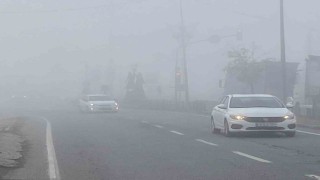 Iğdır'da yoğun sis etkili oldu