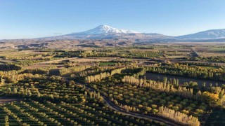 Iğdırın renk cümbüşüne dönüşen doğal cenneti İrem Bağları, havadan görüntülendi
