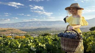İki asırlık bağlarda bereket: Üzümlüde Cimin Üzümü hasadı