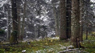 Ilgaz Dağında kar yağışı etkili oldu: Ortaya mest eden görüntüler çıktı