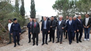 İnegöl Belediyesinden can dostlarına yeni yuva