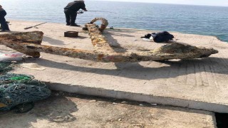 İskeleden yaklaşık 3 tonluk çapa çıkarıldı