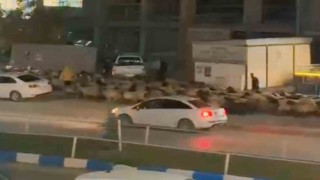 İşlek caddede koyun sürüsünün geçişi ilginç görüntüler oluşturdu