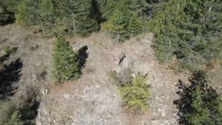 Ispartada kaçak avcı dron kamerasında